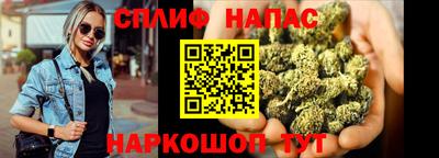 мдпв Гусь-Хрустальный