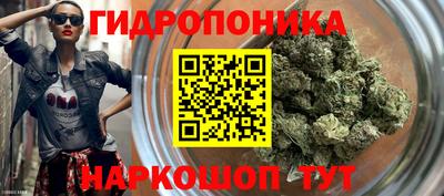 дмт Гусев