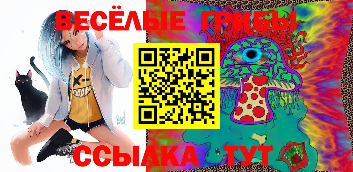Тельмана  Псилоцибиновые грибы ЛСД  Вход с VPN 