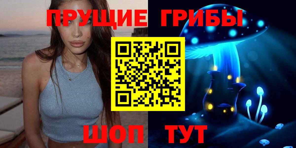 Псилоцибиновые грибы Psilocybine cubensis Тельмана